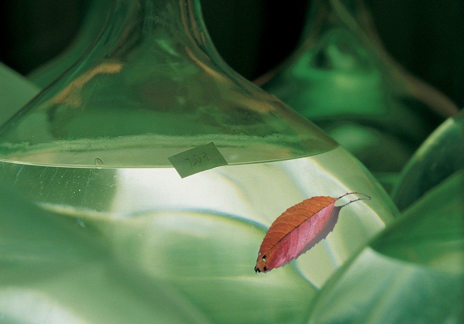 Plutzer aus Glas
